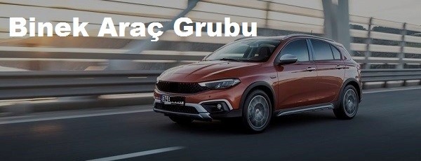 Binek  Araç Grubu yamanconta